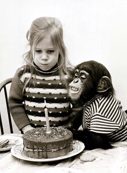 A little girl and a chimpanzee about to slow out a candle on a birthday cake