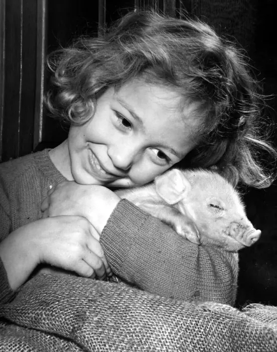 Framed Print : Little girl cuddles a piglet Children with Animals 20  /  01  /  1955