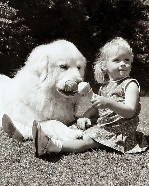 a little girl shares her ice cream with her dog. who licks her nose in anticipation of