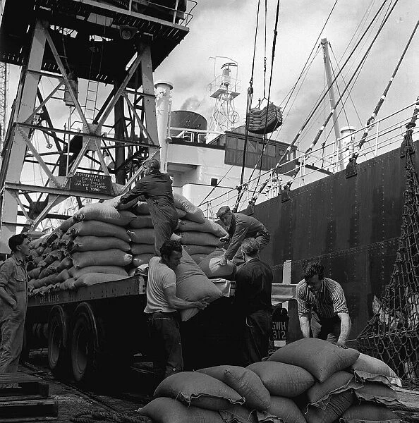 Liverpool Dockers unloading ships in the Dockyards August 1965
