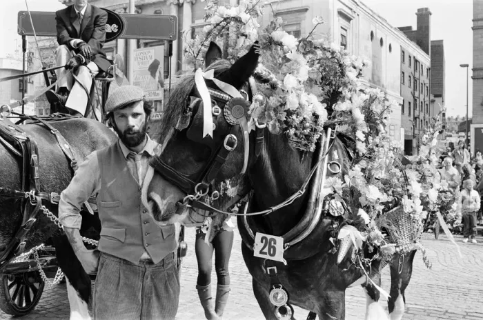 Framed Print : Liverpool May Horse Parade, City Centre, Liverpool, Saturday 9th May 1987 Framed Print : Liverpool May Horse Parade, City Centre, Liverpool, Saturday 9th May 1987