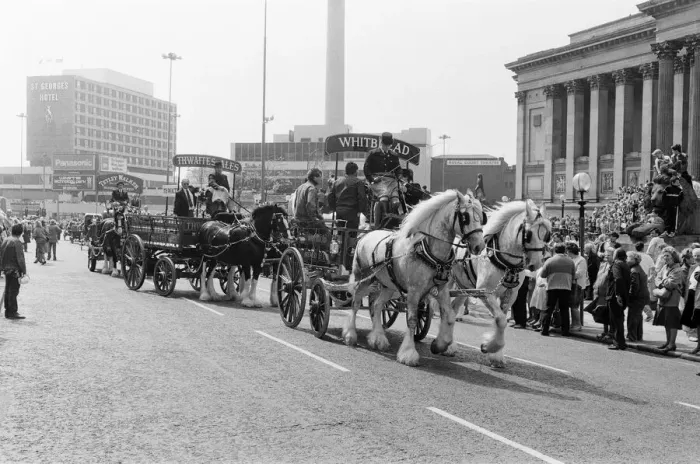 Framed Print : Liverpool May Horse Parade, City Centre, Liverpool, Saturday 9th May 1987 Framed Print : Liverpool May Horse Parade, City Centre, Liverpool, Saturday 9th May 1987