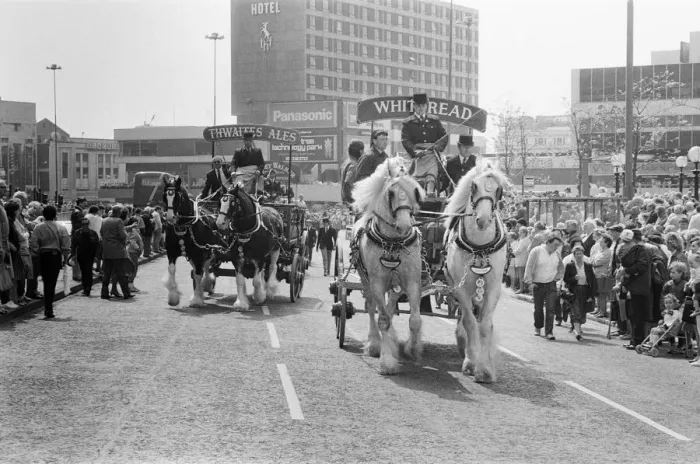 Framed Print : Liverpool May Horse Parade, City Centre, Liverpool, Saturday 9th May 1987 Framed Print : Liverpool May Horse Parade, City Centre, Liverpool, Saturday 9th May 1987