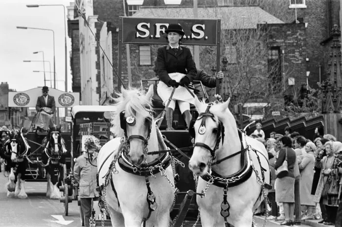 Framed Print : Liverpool May Horse Parade, Saturday 10th May 1986 Framed Print : Liverpool May Horse Parade, Saturday 10th May 1986