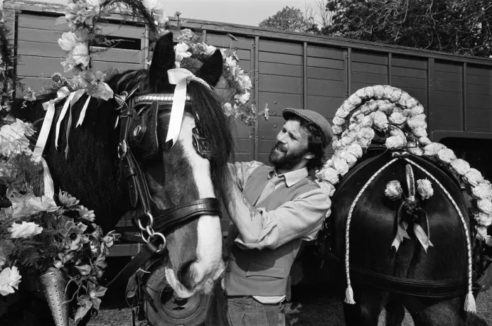 Framed Print : Liverpool May Horse Parade, Saturday 9th May 1987. Behind the scenes, Preparation Framed Print : Liverpool May Horse Parade, Saturday 9th May 1987. Behind the scenes, Preparation