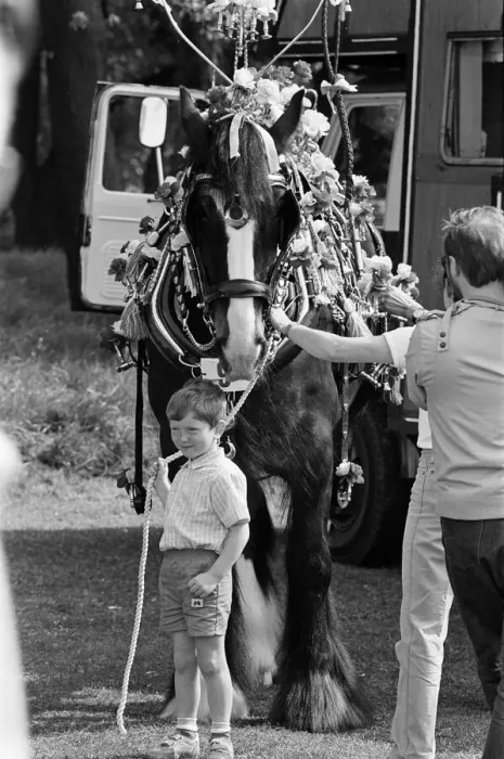 Framed Print : Liverpool May Horse Parade, Saturday 9th May 1987. Behind the scenes, Preparation Framed Print : Liverpool May Horse Parade, Saturday 9th May 1987. Behind the scenes, Preparation