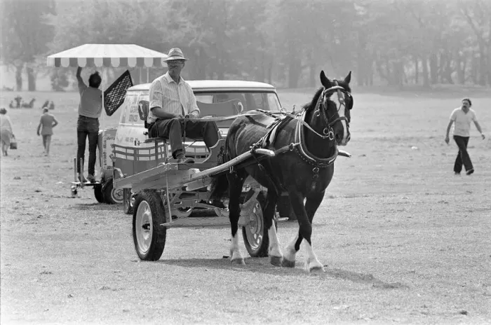 Framed Print : Liverpool May Horse Parade, Saturday 9th May 1987. Behind the scenes, Preparation