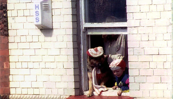 Liverpool return after winning FA Cup. OPS Fans with their dog cheering from a window