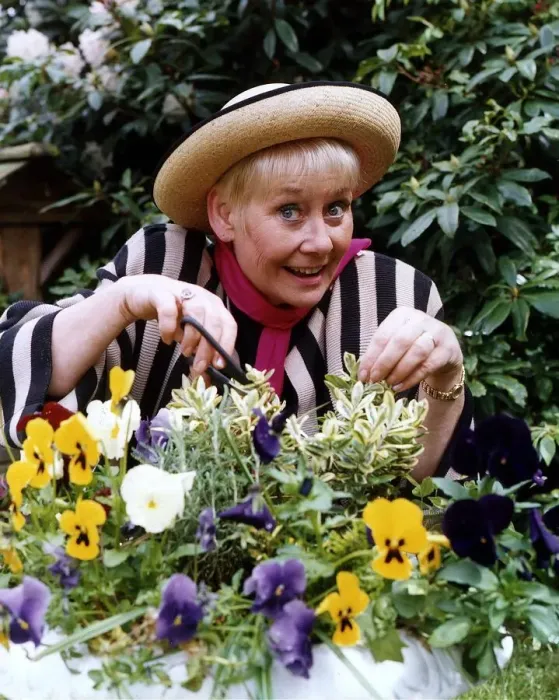 Framed Print : Liz Dawn actress who plays the part of Vera Duckworth in Coronation Street in her garden Framed Print : Liz Dawn actress who plays the part of Vera Duckworth in Coronation Street in her garden