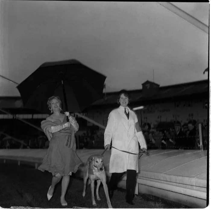 Framed Print : Liz Fraser actress with greyhound May 1962 in aid of the Variety club of