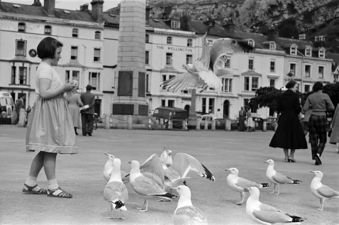 Framed Print : Llandudno, a seaside town in Conwy County Borough, Wales Framed Print : Llandudno, a seaside town in Conwy County Borough, Wales