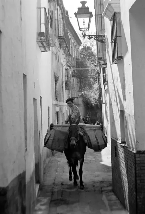 Framed Print : A local man riding on the back of a donkey through the narrow back streets of Seville in Framed Print : A local man riding on the back of a donkey through the narrow back streets of Seville in