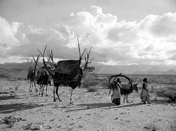 Local women of Somaliland with their camels Circa 1935 Africa Travel
