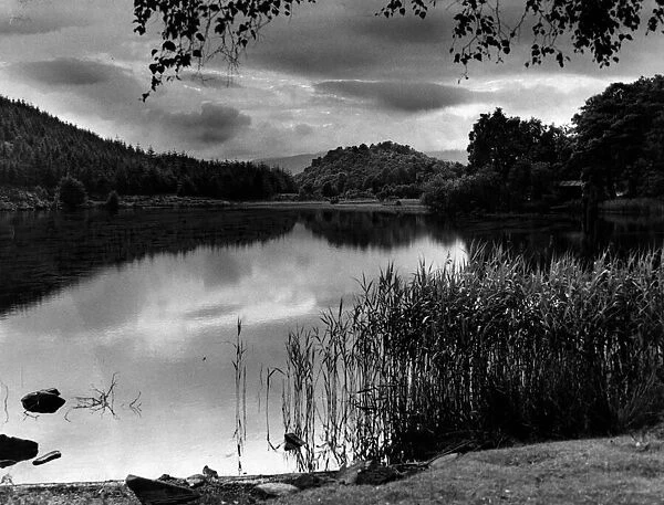 Loch Ard, a body of fresh water in the Loch Lomond and the Trossachs National Park