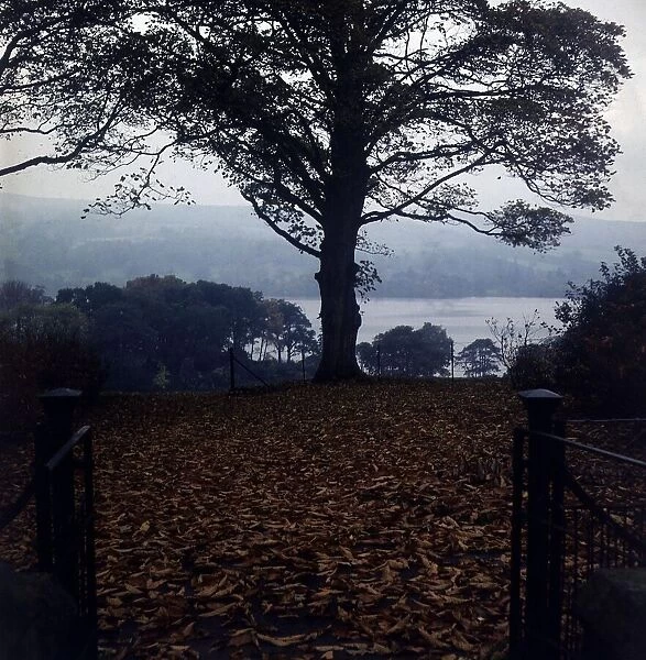 Loch Lomond Park, Scotland