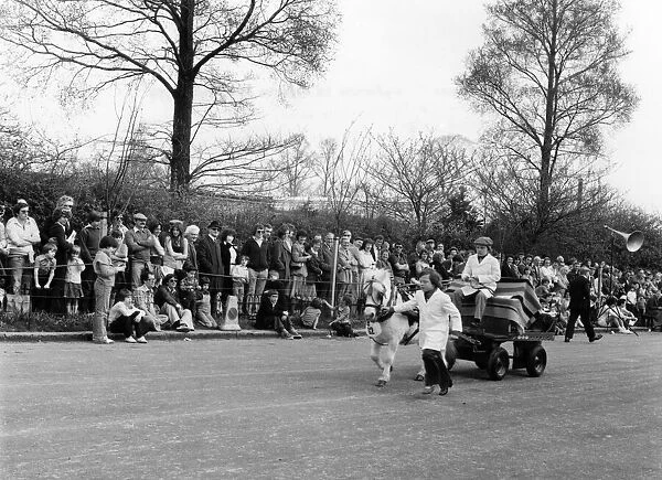 The London Harness Horse Parade in Regents Park. Seen here in Shetland pony Queenie