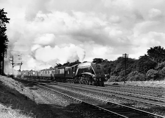 Framed Print : The London North East Railway Class A4 4-6-2 steam locomotive 60032 Gannet heads Framed Print : The London North East Railway Class A4 4-6-2 steam locomotive 60032 Gannet heads