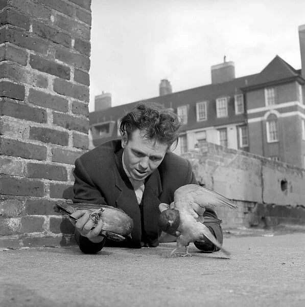 London pigeon catcher. January 1954 A157-002