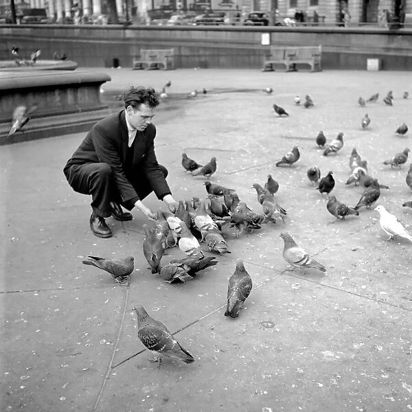 London pigeon catcher. January 1954 A157-004