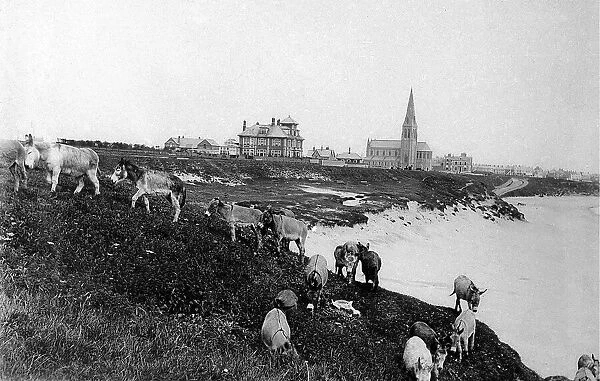 The Long Sands at Tynemouth during the 1870s