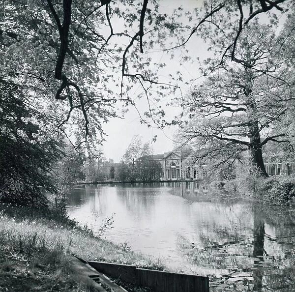 Looking across the ornamental lake towards Woburn Abbey May 1965