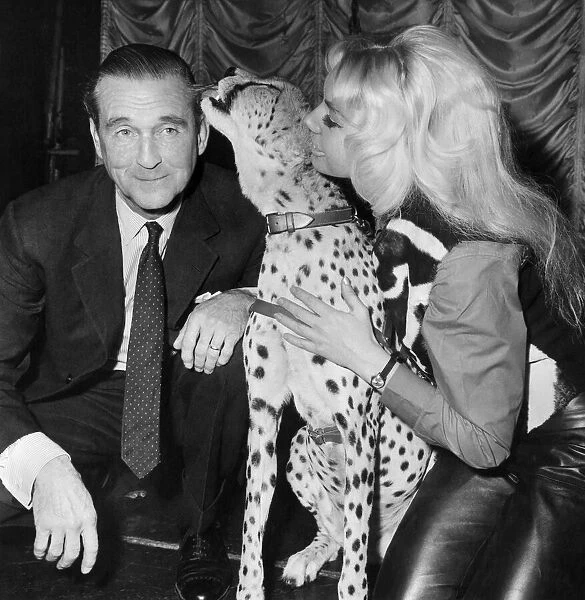 Lord Bath visited Ginni the cheetah who is in quarantine at the Raymonds Revuebar
