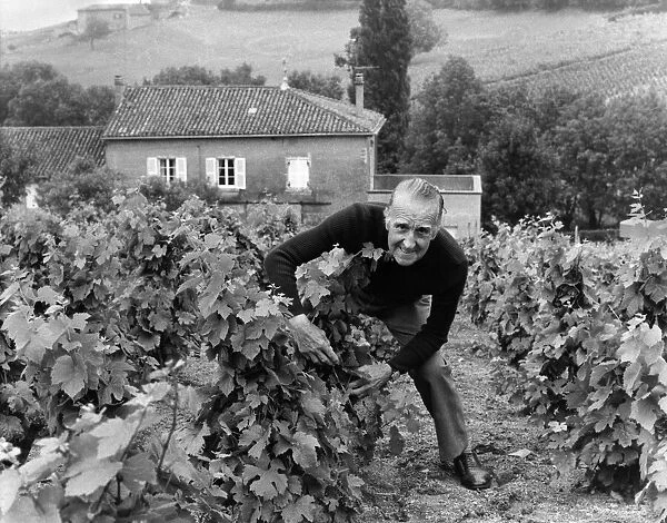 Lord Marples at his vineyard in France. His house can be seen in the background