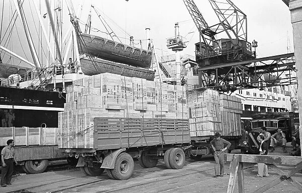 Lorries await to unload at Genoa docks. Circa 1955