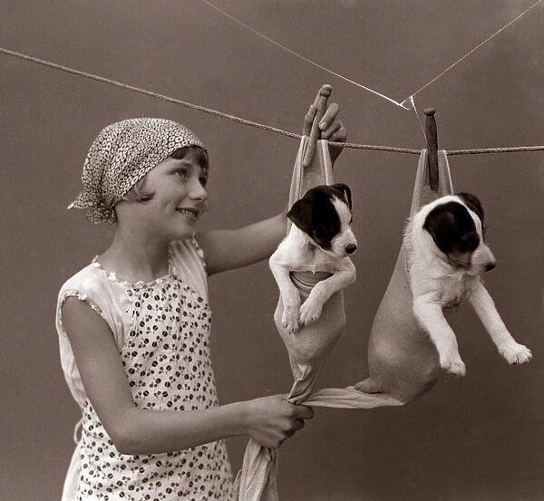 Love is hanging the puppies out to dry This picture was taken sometime in