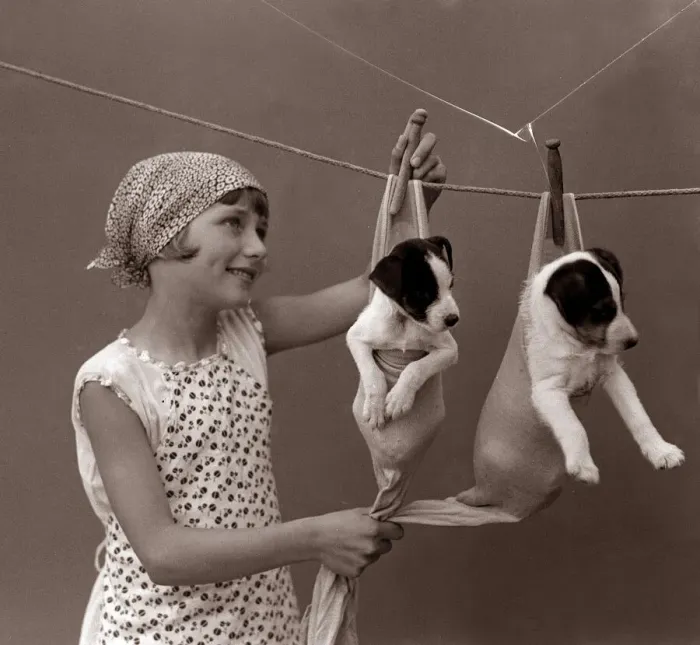 Framed Print : Love is hanging the puppies out to dry This picture was taken sometime in