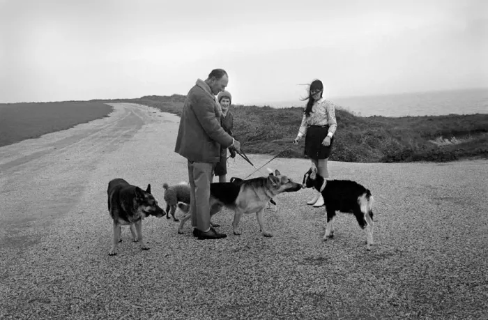 Framed Print : Lucy the goat who thinks shes a dog. She is seen with seen with her mistress Joan