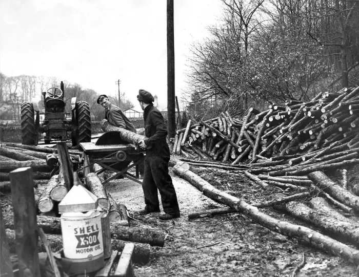 Framed Print : Lumberjacks using a mechanical saw to cut through the lumber in 1954 Framed Print : Lumberjacks using a mechanical saw to cut through the lumber in 1954
