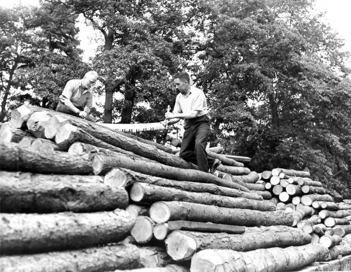 Framed Print : Lunberjacks at the Nunwick Estate Sawmills on the North Tyne Framed Print : Lunberjacks at the Nunwick Estate Sawmills on the North Tyne