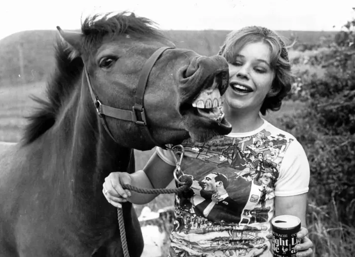 Framed Print : Maggie Barrett gets a satified whinney from Flea the horse as she offers him some beer Framed Print : Maggie Barrett gets a satified whinney from Flea the horse as she offers him some beer