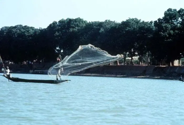 : Mali Fisherman on the Niger River casting their nets circa 1993 : Mali Fisherman on the Niger River casting their nets circa 1993