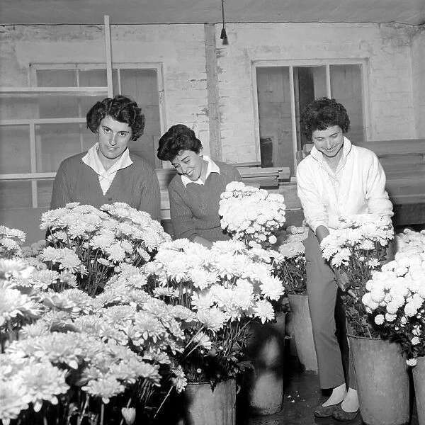 Maltese girls learn to grow flowers. June 1960 M4487-003