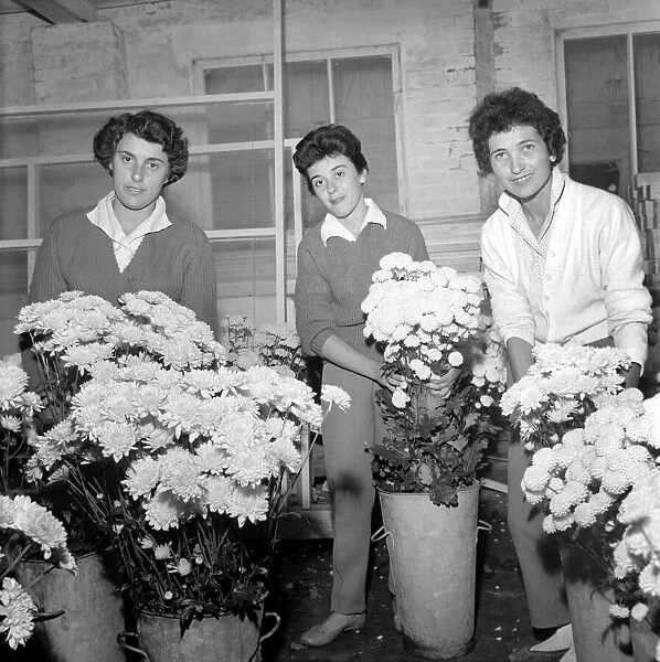 Maltese girls learn to grow flowers. June 1960 M4487