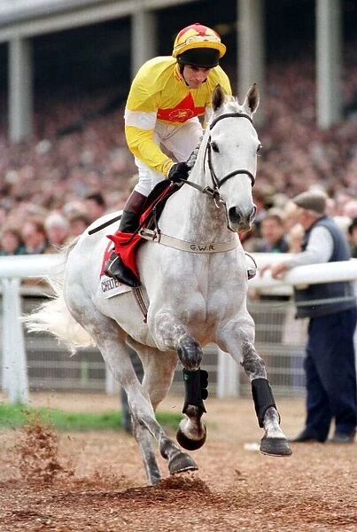 One Man and Brian Harding go to post for the 1998 Champion Chase at the Cheltenham