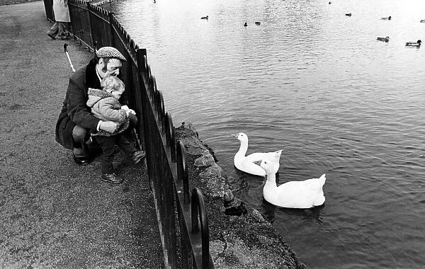 A man and child looking at birds in the lake at Albert Park, Middlesbrough