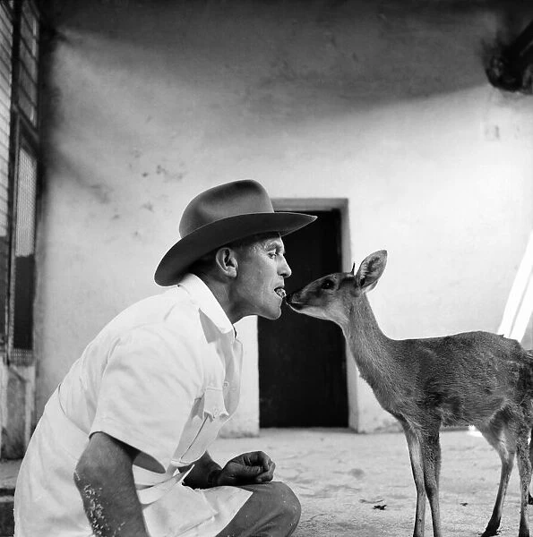 Man and deer at Belle Vue zoo in Manchester June 1960 M4296