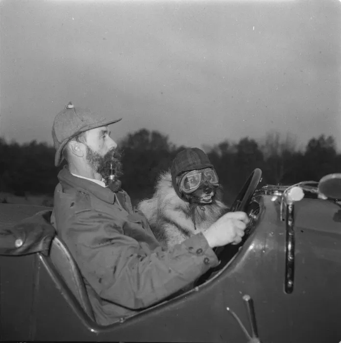 Framed Print : Man & dog in car It was more the Hound of the Highways than the Baskervilles when Framed Print : Man & dog in car It was more the Hound of the Highways than the Baskervilles when