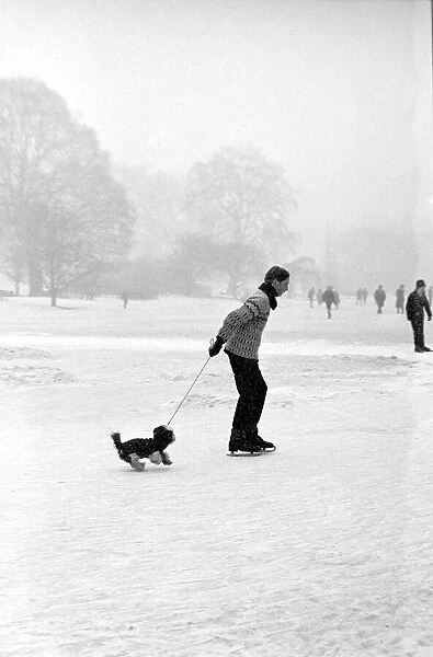 One man and his dog go ice skating on a frozen lake near London