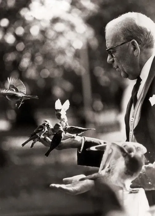 Framed Print : Man feeding the Birds - April 1968 in St James Park, London Framed Print : Man feeding the Birds - April 1968 in St James Park, London
