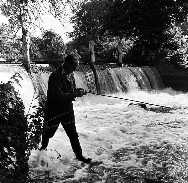 A man fishing in the River Gade in Watford, Hertfordshire. 19th June 1954