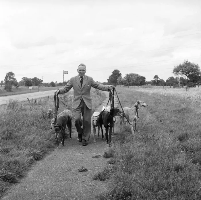 Framed Print : Man and Greyhounds: Frank Sanderson seen here at his St