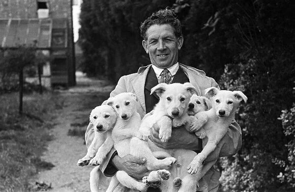 A man holding five puppies at a pet farm in Ipswich, Suffolk. Circa 1945