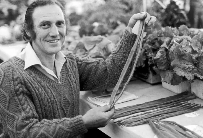 Framed Print : A man holding a selection of runner beans which are in a competition at Egton Framed Print : A man holding a selection of runner beans which are in a competition at Egton