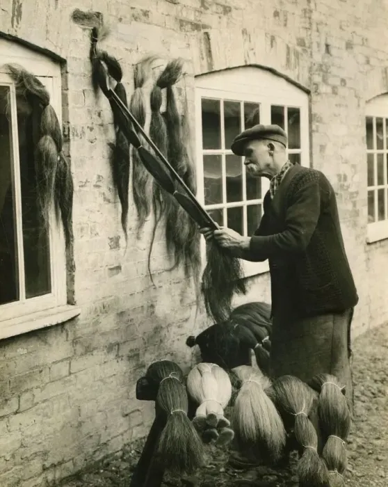 Framed Print : A man measuring lengths of horse hair for use in the weaving industry August 1930 Framed Print : A man measuring lengths of horse hair for use in the weaving industry August 1930