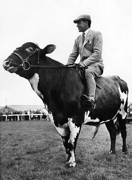 Man riding Bull: July 1963 P006136