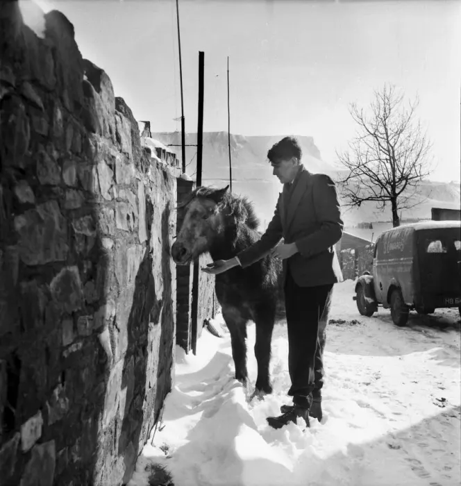 Framed Print : A man with a Welsh pony in a village during winter. December 1952 C6064-003 Framed Print : A man with a Welsh pony in a village during winter. December 1952 C6064-003